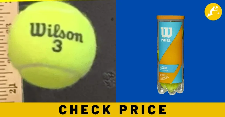 Wilson Prime All Court Tennis Balls