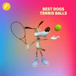 Best tennis balls for dogs