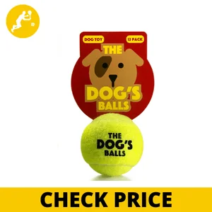 best tennis balls for dogs | The Dog's Balls