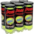 Penn Championship Tennis Balls for cricket