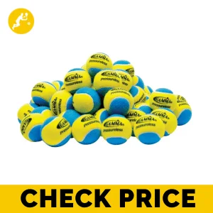 Gamma practice tennis balls for ball machines